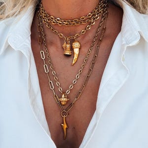 Può includere: Un set di collane dorate a strati. Le collane presentano vari stili di catena e ciondoli, tra cui un corno, un fulmine e un piccolo oggetto decorativo. I gioielli sono indossati sopra una camicia bianca.