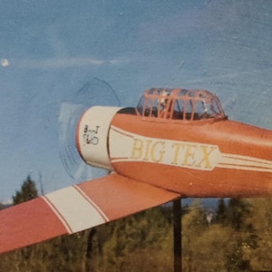 Vintage BIG TEX CONTROL Kit/Plane/Model/Black Hawk Models