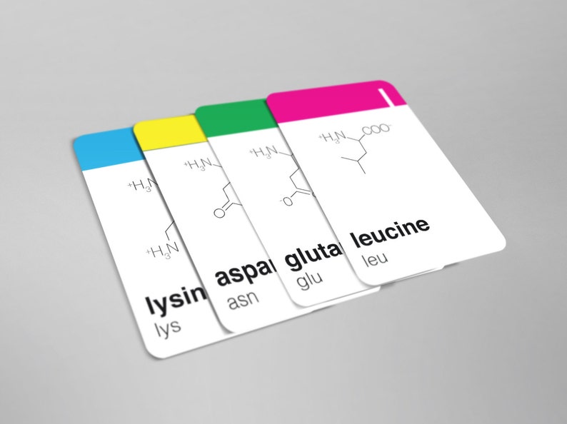 Mino Amino Acid Flash Cards Etsy