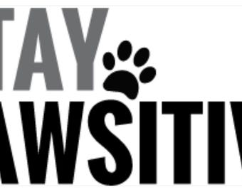 Stay Pawsitive svg datei zum gravieren