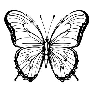 Butterfly svg jpg file for laser engraving