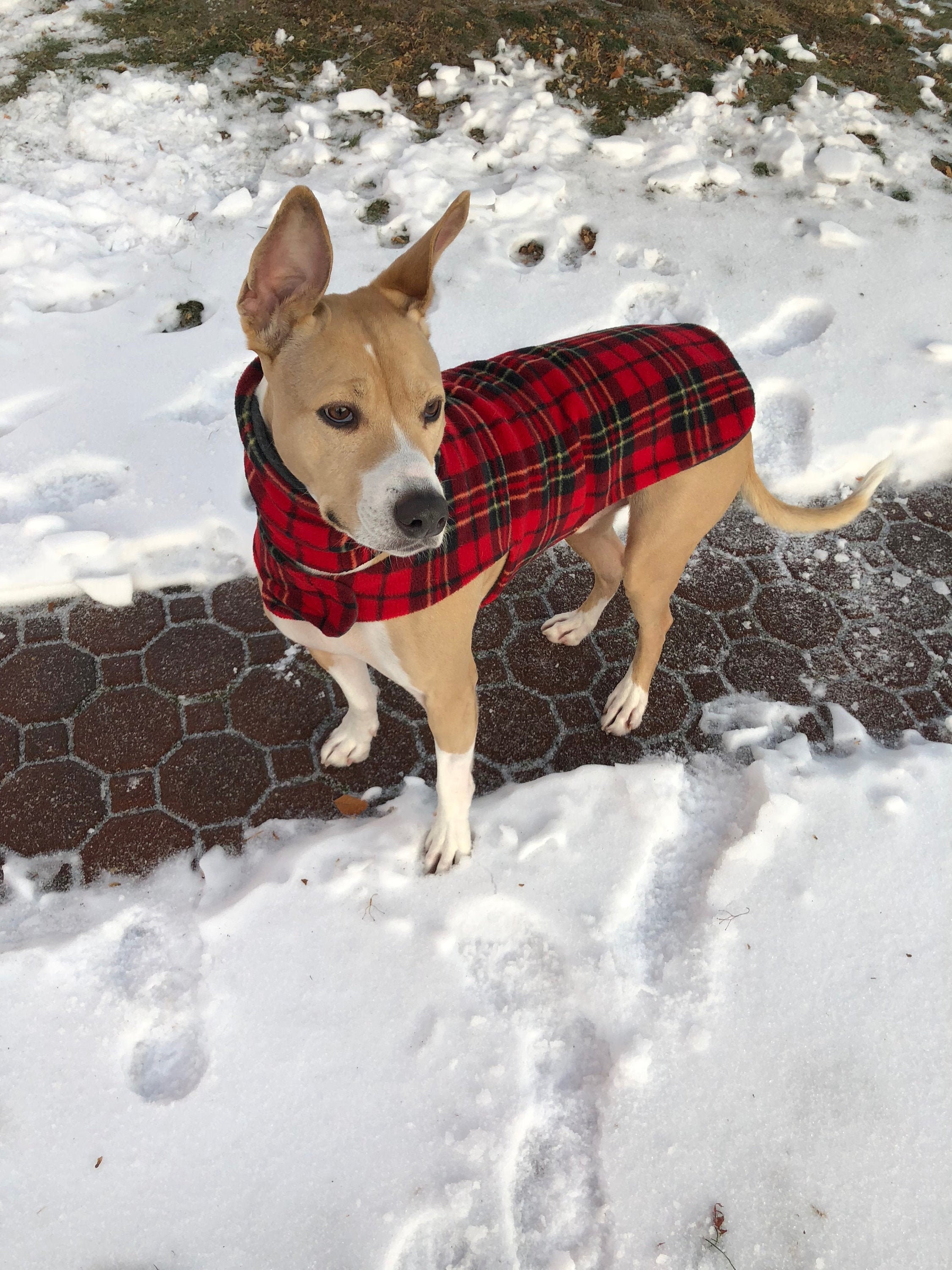 reversible dog coat