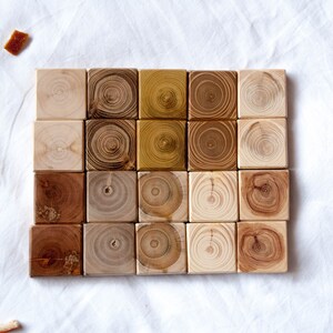 Wooden Textures Memory Game for adults and children, Colour Memory Game, Matching Game, Kids Game, Forest Memory game, Adult wooden puzzle image 6