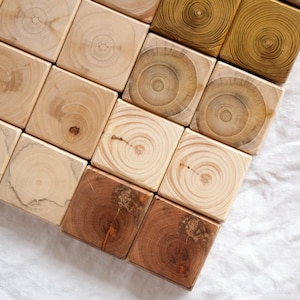 May include: A collection of square wooden blocks arranged in a grid, each displaying unique natural wood grain patterns and circular growth rings. The blocks vary in color from light beige and cream to medium brown and deep golden tan tones.