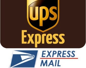 UPS EXPRESS