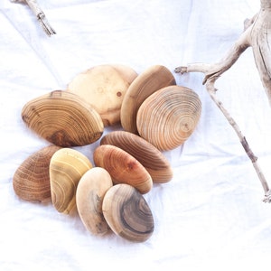 May include: A collection of eight wooden coasters in various shades of brown, with natural wood grain patterns. The coasters are arranged in a cluster on a white fabric background.