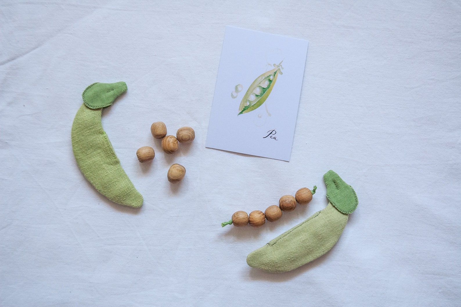 montessori food toys