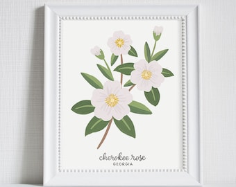 Georgia Cherokee Rose - State Flower Art Print