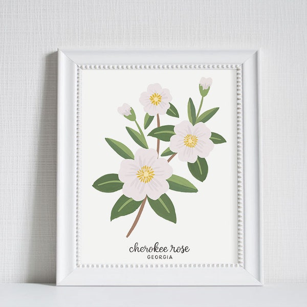 Georgia Cherokee Rose - State Flower Art Print