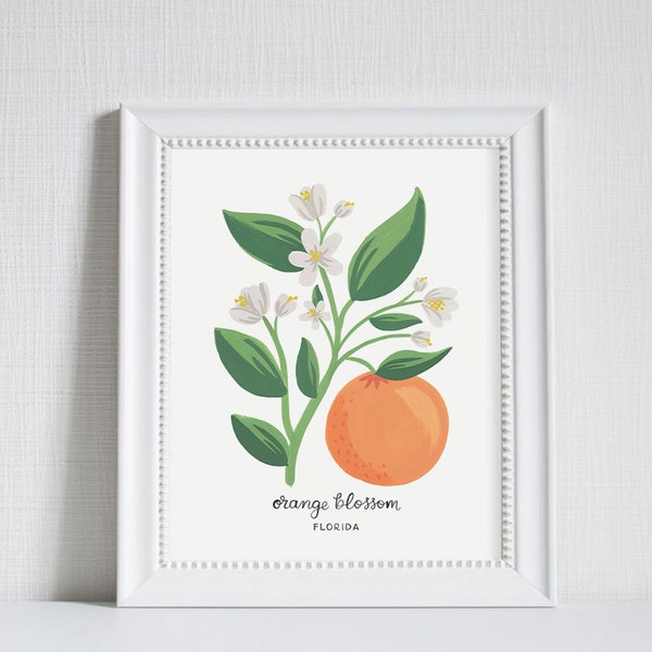 Florida Orange Blossom - Flor del estado Lámina artística
