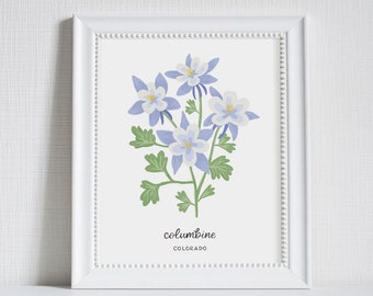 Colorado Columbine - State Flower Art Print