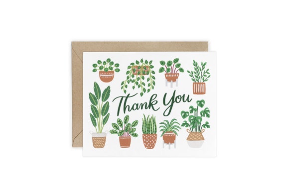 indoor plants austin Houseplant Consultation - Austin, Tx