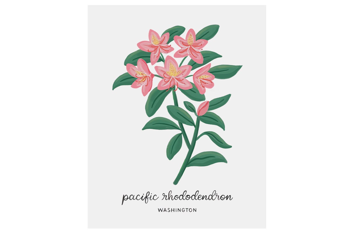 Washington Pacific Rhododendron - State Flower Art Print - Etsy