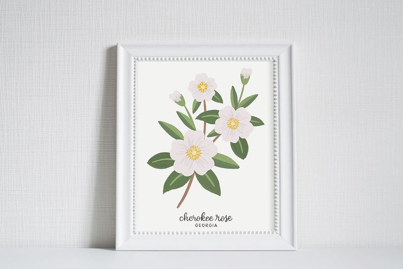 Georgia Cherokee Rose State Flower Art Print image 1