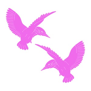 Juego de 2 calcomanías de colibrí: calcomanías de pájaros: elija color y tamaño