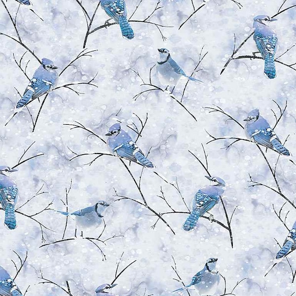 Timeless Treasures - Winter Woods - CD1218 - Blue Jay Birds in Winter - Accent - Blender - Thomas Little - Blue Jays - Birds - Winter