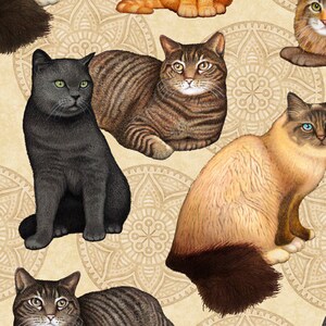 Quilting Treasures - Felicity - 28488-E - Cat and Medallion - Animal - Pet - Accent - Blender - Dan Morris - Cat - One More Yard