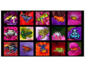 Quilting Treasures - Artworks XVII - Frog Patches - 27934-J - Jim Zuckerman - Panel -  Outdoors  - Frogs - Poison Dart Frogs - One More Yard