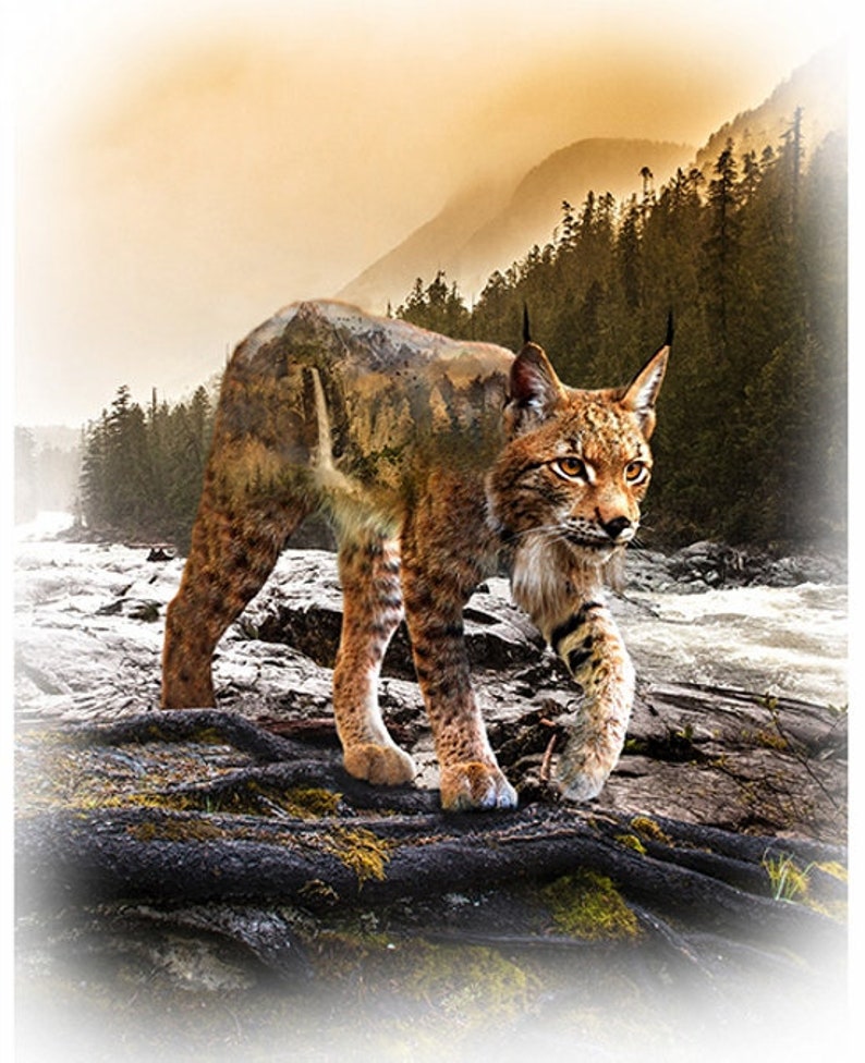 Hoffman Call of the Wild T4909-154 Teak Bob Cat Panel Spectrum Cat Hunter Red Lynx Outdoors One More Yard image 1