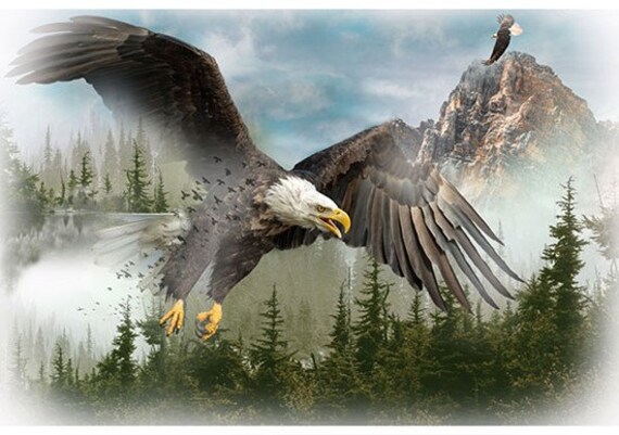 Call of clearance the wild prey