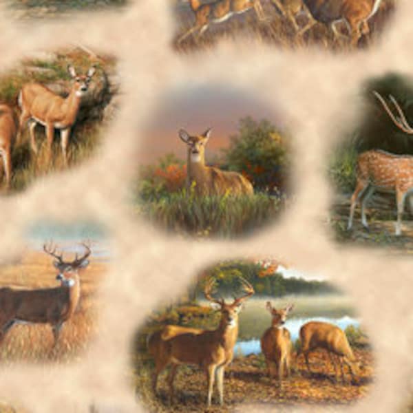 Quilting Treasures - Deer Valley - 26892-E - Deer Vignettes - ©Hautman Brothers - Animals - Wildlife - Deer - Hunting - One More Yard