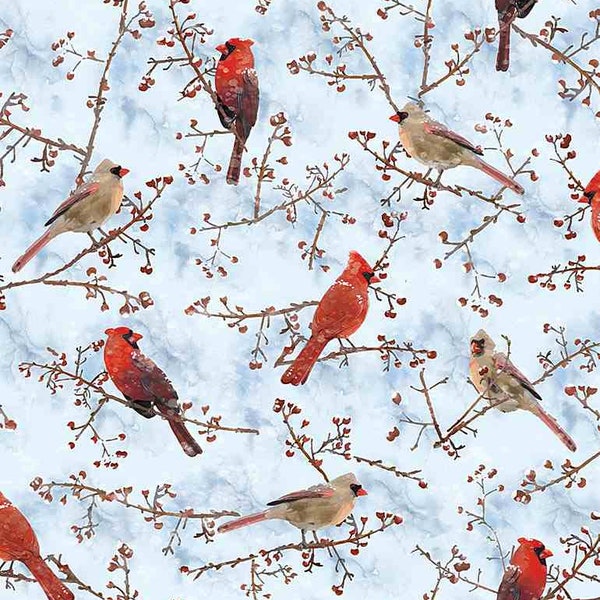 Timeless Treasures - Winter Woods - CD1217 - Red Cardinals in Winter - Accent - Blender - Thomas Little - Cardinals - Birds - Winter