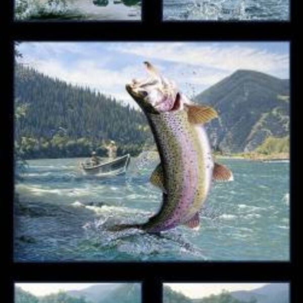 Elizabeth Studio - Tight Lines - 5019E-Black - Rainbow Trout - Fish - Trout - Fishing - Sport - Panel - Outdoors - One More Yard