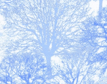 Timeless Treasures - All Over Trees - Ice-CM1313-Snow -Blue - Trees - Holiday - Novelty - Winter - One More Yard