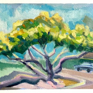 Plein Air Painting of Historic Oceanside Fig Tree, Original Oil Painting on Paper, Southern California, San Diego Painting, Original Art image 2