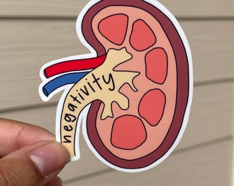 May include: A sticker of a kidney with the word "negativity" written on the ureter. The kidney is pink and red with a yellow ureter.