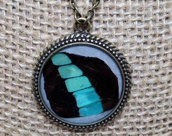 Common bluebottle butterfly wing necklace (CBWJW)