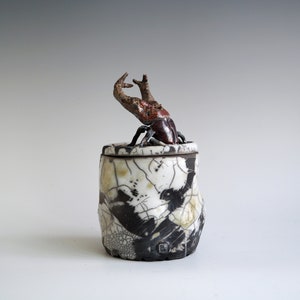 Handmade Raku Jar, Unique Raku Ceramics, Beetle Lid Handle, Art Object, Crackle Raku Glaze, Lidded Canister, Secret Jar, Porcelain Art, Gift image 7
