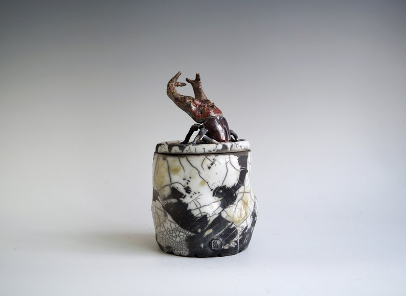 Handmade Raku Jar, Unique Raku Ceramics, Beetle Lid Handle, Art Object, Crackle Raku Glaze, Lidded Canister, Secret Jar, Porcelain Art, Gift image 7