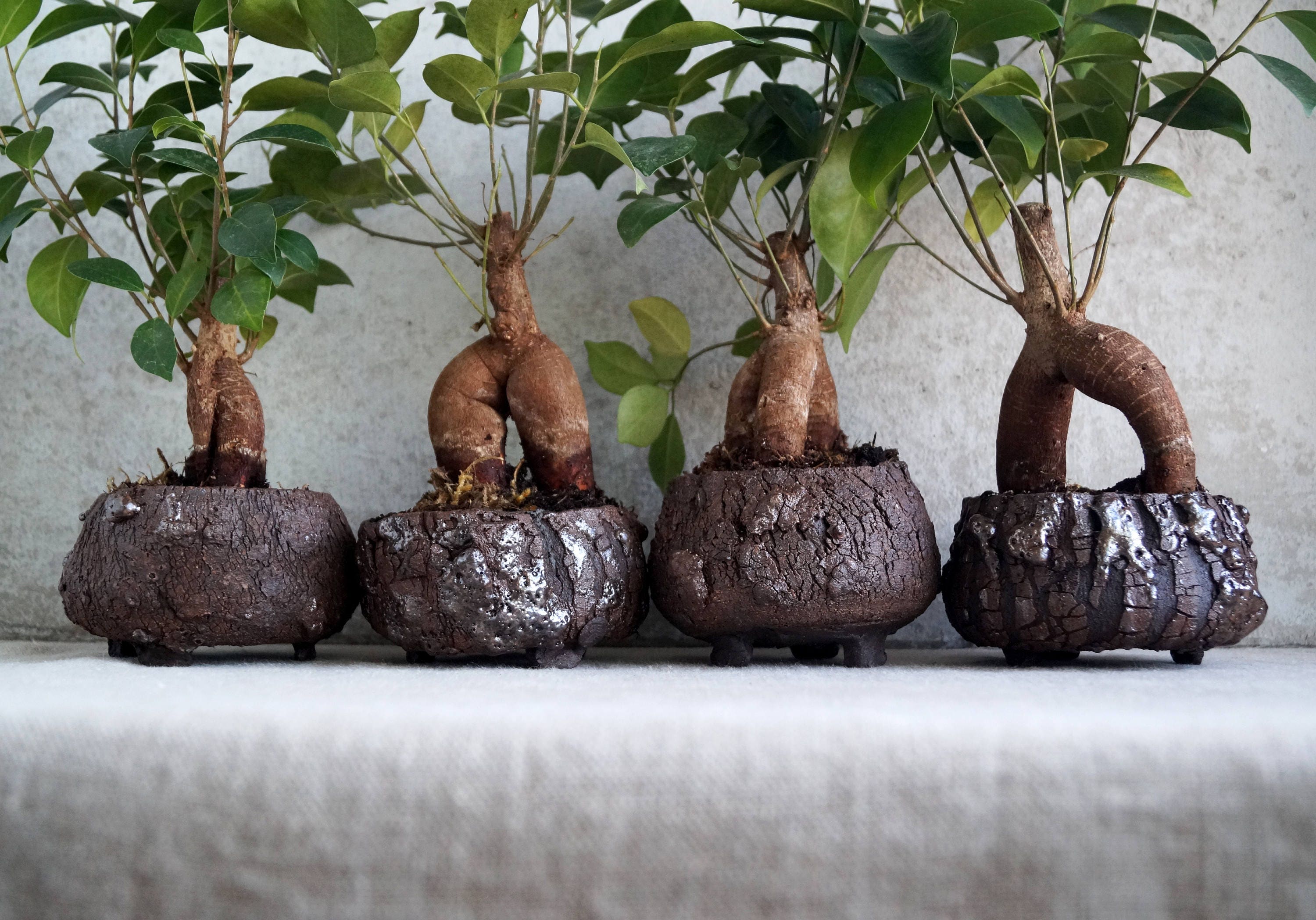 How To Make A Wooden Bonsai Pot Best 2018 Homemade Wooden Bonsai Pots Designs