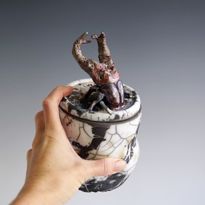 Handmade Raku Jar, Unique Raku Ceramics, Beetle Lid Handle, Art Object, Crackle Raku Glaze, Lidded Canister, Secret Jar, Porcelain Art, Gift image 2