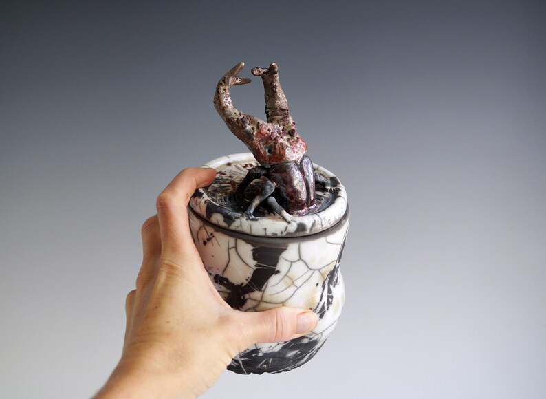 Handmade Raku Jar, Unique Raku Ceramics, Beetle Lid Handle, Art Object, Crackle Raku Glaze, Lidded Canister, Secret Jar, Porcelain Art, Gift image 2