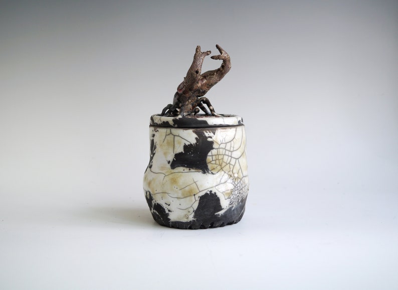 Handmade Raku Jar, Unique Raku Ceramics, Beetle Lid Handle, Art Object, Crackle Raku Glaze, Lidded Canister, Secret Jar, Porcelain Art, Gift image 5