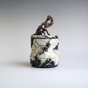 Handmade Raku Jar, Unique Raku Ceramics, Beetle Lid Handle, Art Object, Crackle Raku Glaze, Lidded Canister, Secret Jar, Porcelain Art, Gift image 4