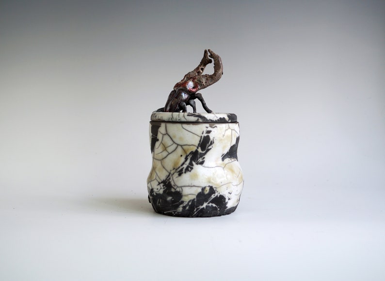 Handmade Raku Jar, Unique Raku Ceramics, Beetle Lid Handle, Art Object, Crackle Raku Glaze, Lidded Canister, Secret Jar, Porcelain Art, Gift image 4