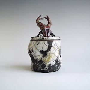 Handmade Raku Jar, Unique Raku Ceramics, Beetle Lid Handle, Art Object, Crackle Raku Glaze, Lidded Canister, Secret Jar, Porcelain Art, Gift image 1