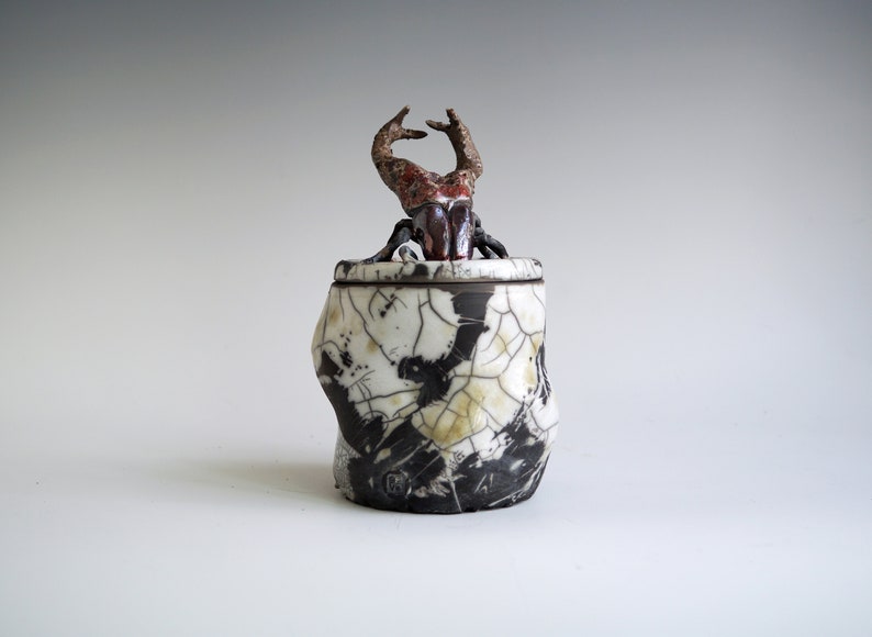 Handmade Raku Jar, Unique Raku Ceramics, Beetle Lid Handle, Art Object, Crackle Raku Glaze, Lidded Canister, Secret Jar, Porcelain Art, Gift image 1