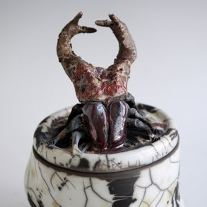 Handmade Raku Jar, Unique Raku Ceramics, Beetle Lid Handle, Art Object, Crackle Raku Glaze, Lidded Canister, Secret Jar, Porcelain Art, Gift image 8