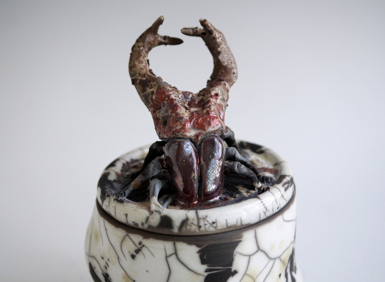 Handmade Raku Jar, Unique Raku Ceramics, Beetle Lid Handle, Art Object, Crackle Raku Glaze, Lidded Canister, Secret Jar, Porcelain Art, Gift image 8
