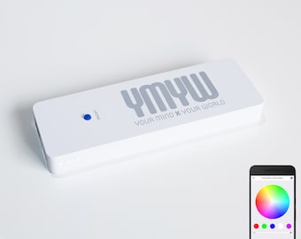 YMYW BATTERY MODULE – Large