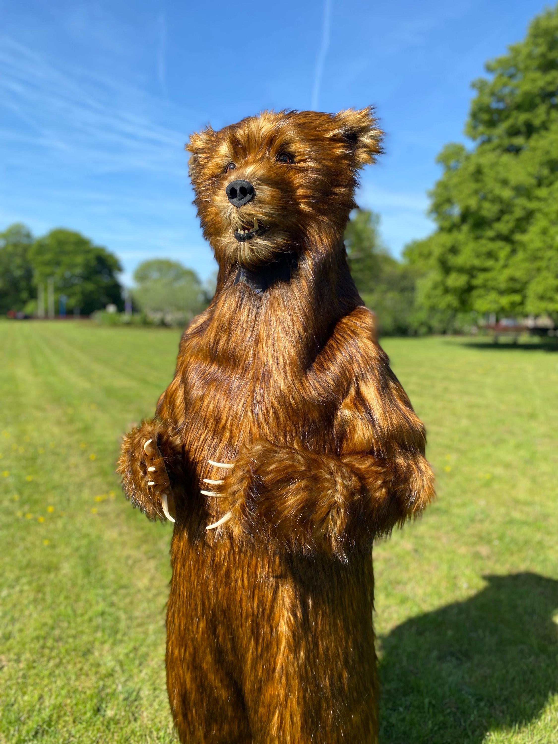 brown bear dress up Dress Up America Brown Bear Child Costume - Medium 8-1030-32" waist, 45-50" height