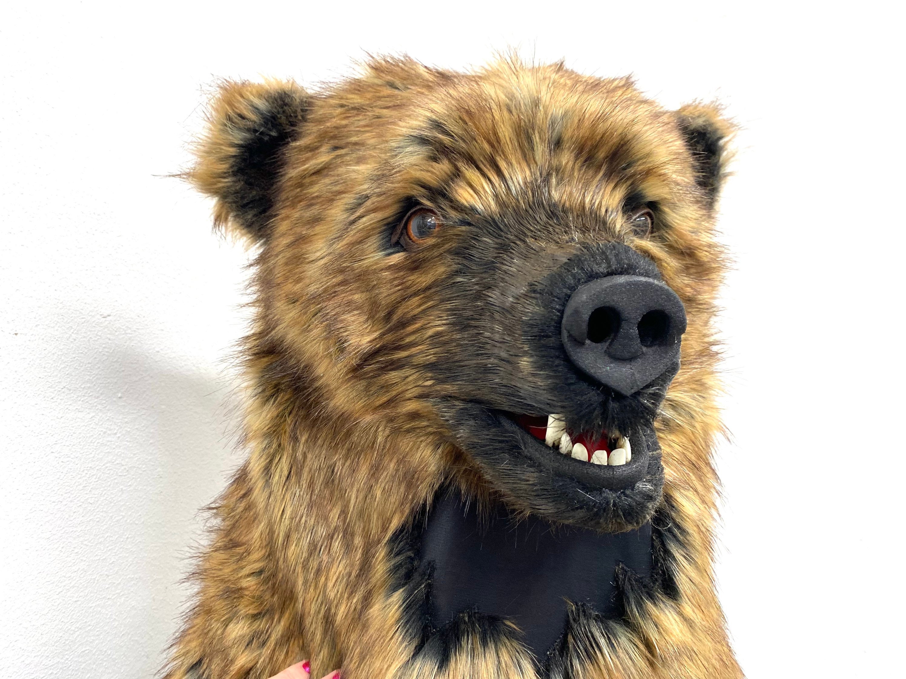 Original tak skal du have zoom Realistic Bear Head Large Fake Fur Grizzly Brown Professional - Etsy
