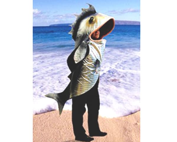 Fish Costume With Holographic Skin Fabric ADULT SIZE Animal