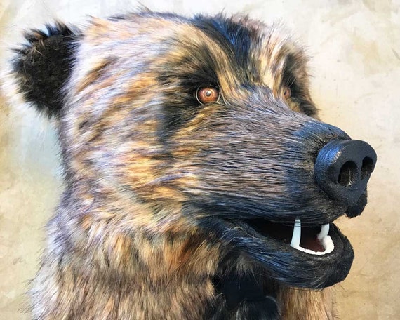 life size bear suit