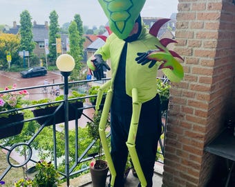 Praying Mantis Costume: Adult Insect Bug with Mask, Handmade for men or women