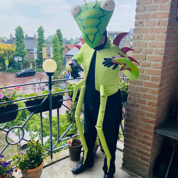 Praying Mantis Costume - Etsy